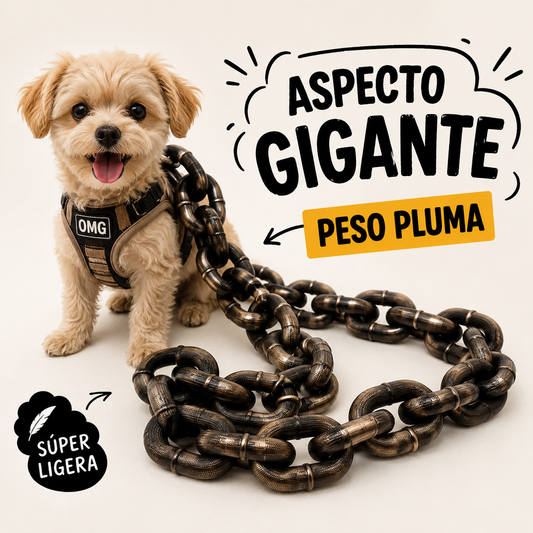 Cadena graciosa para perro